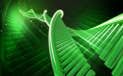 Stem Cell Research And Contact Lenses