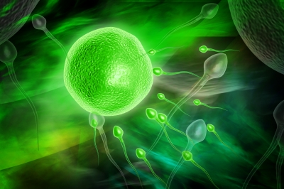 Stevens-Johnson Syndrome Treatments From Fetal Membrane