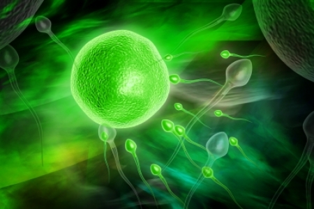 Stevens-Johnson Syndrome Treatments From Fetal Membrane
