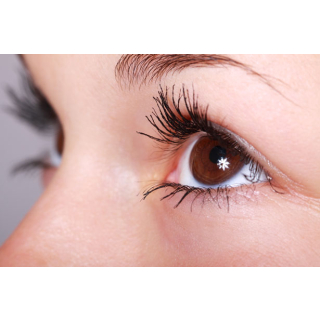 hanson instruments optometry news section