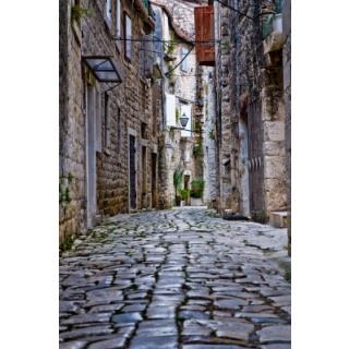 HHPA Helping The Homeless To Visit Opticians And Other Health Services