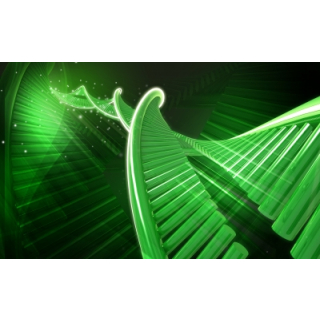 Stem Cell Research And Contact Lenses