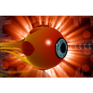 Anophthalmia. A World Without Eyes