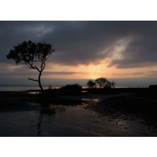 Contact Lens Solution Saves Backpacker