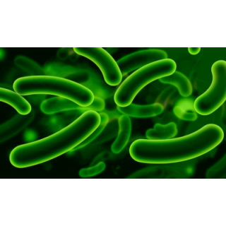 Superbugs Have A New Nemesis With Contact Lens Upgrades